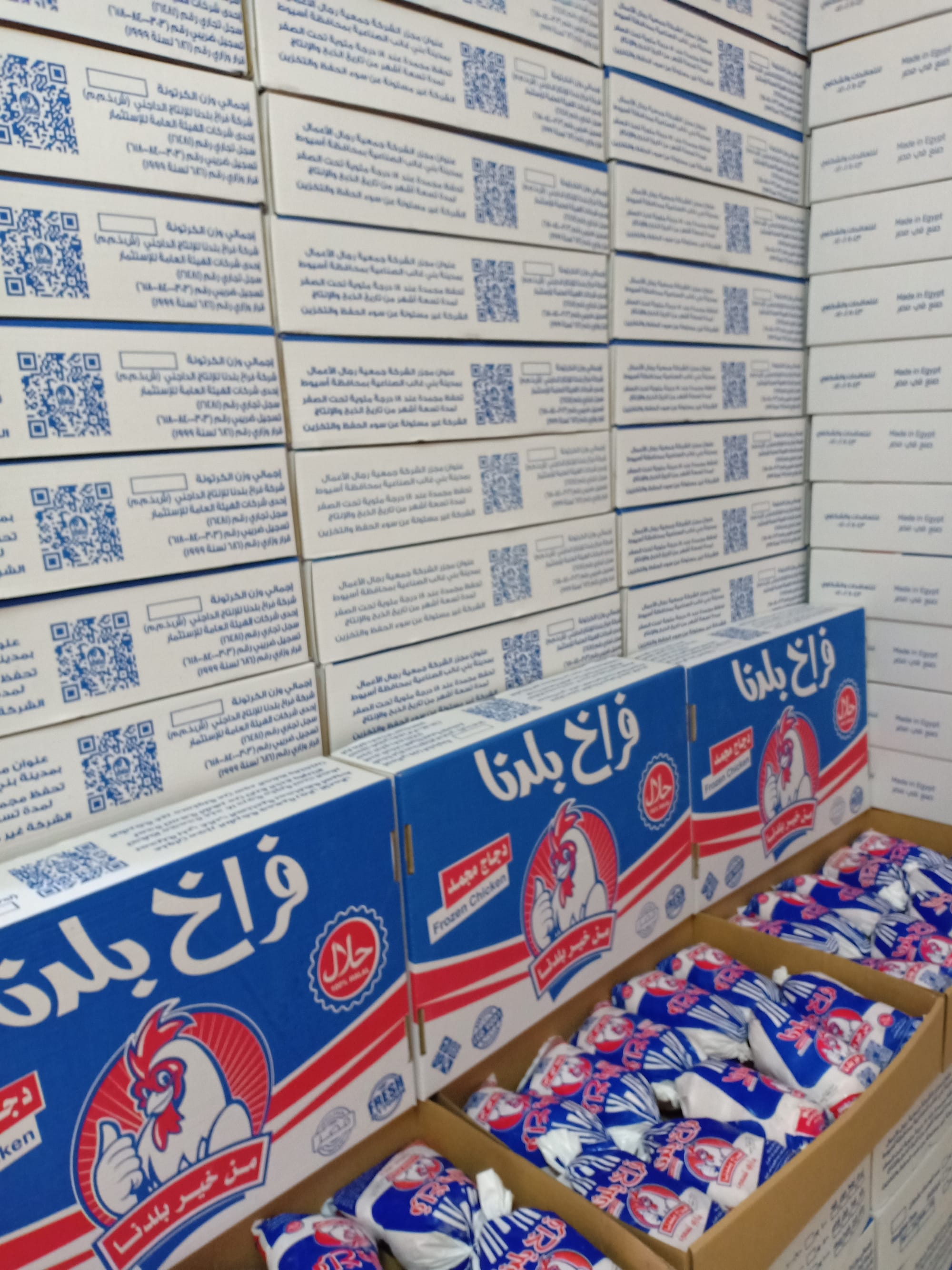 فراخ بلدنا