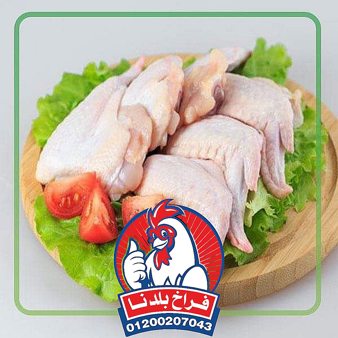 فراخ بلدنا