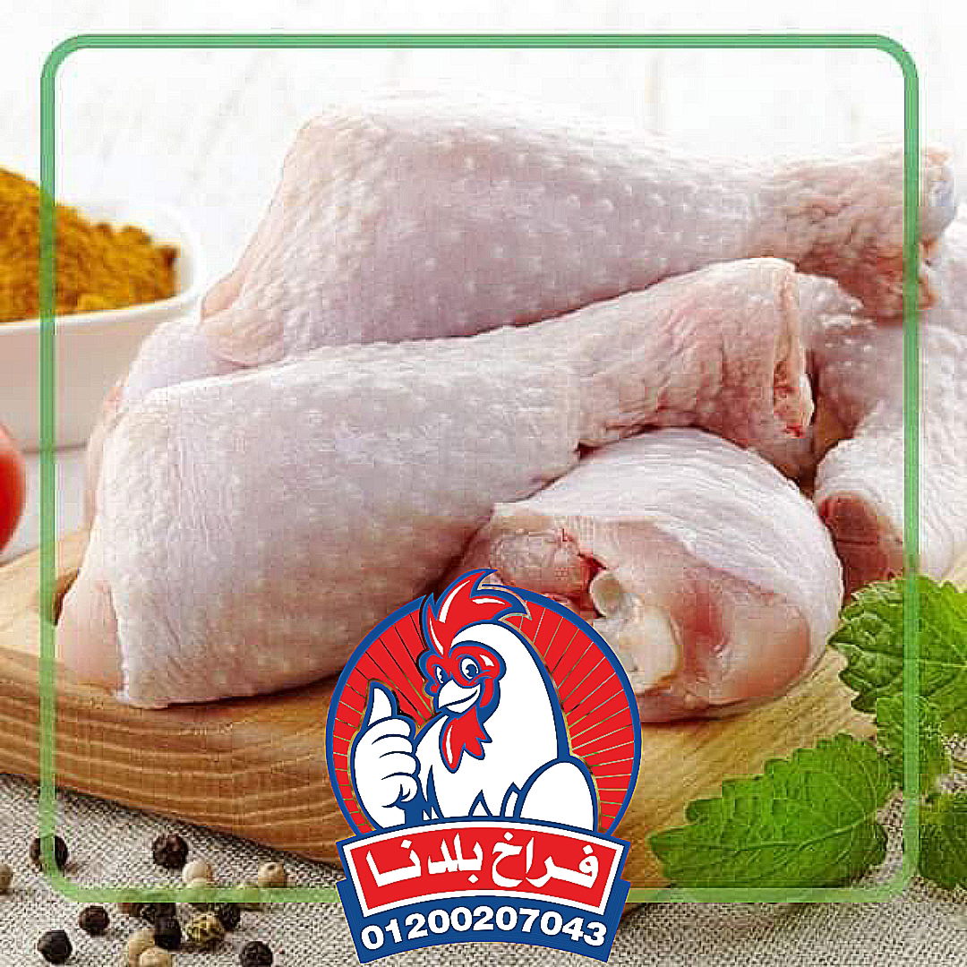 فراخ بلدنا