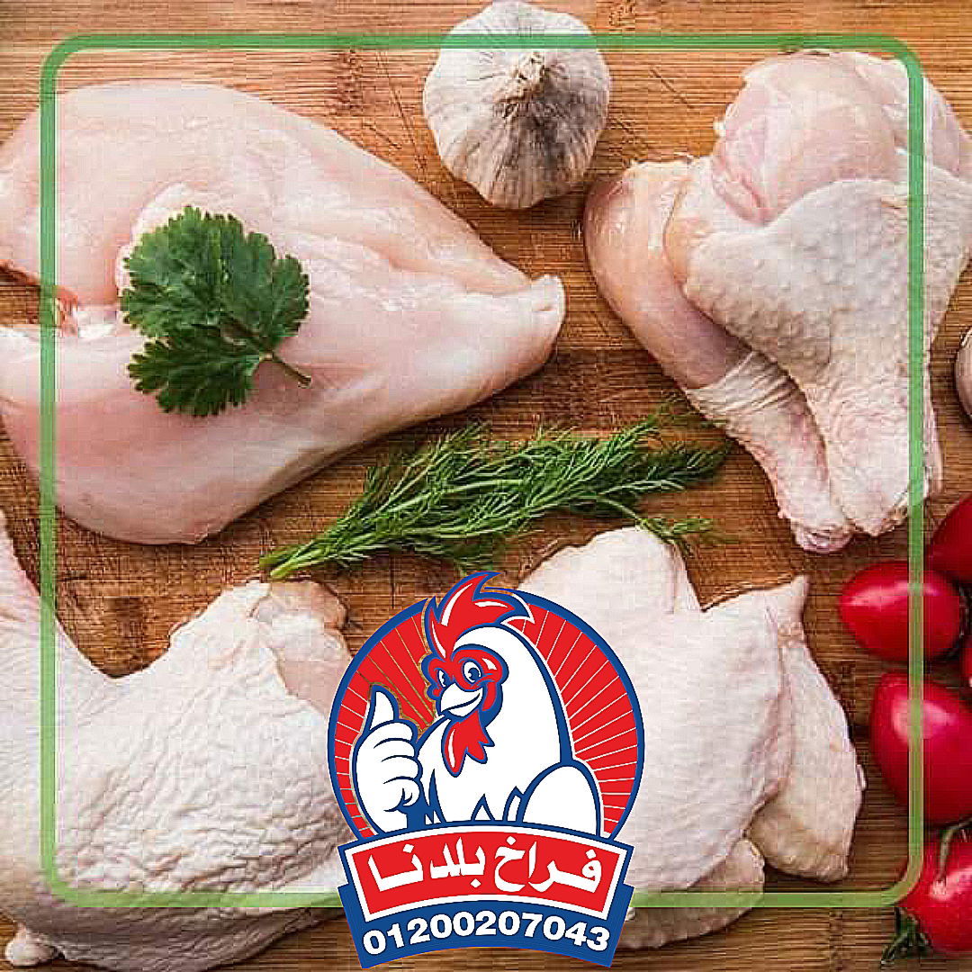 فراخ بلدنا