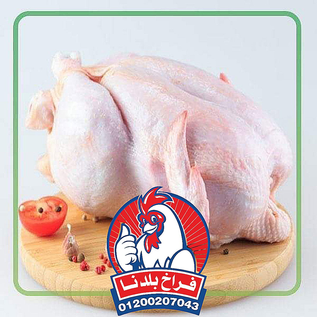فراخ بلدنا