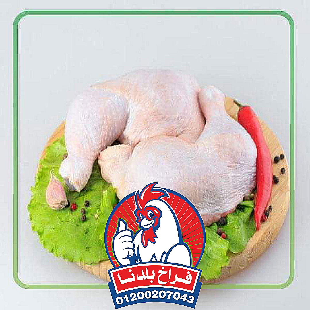 فراخ بلدنا