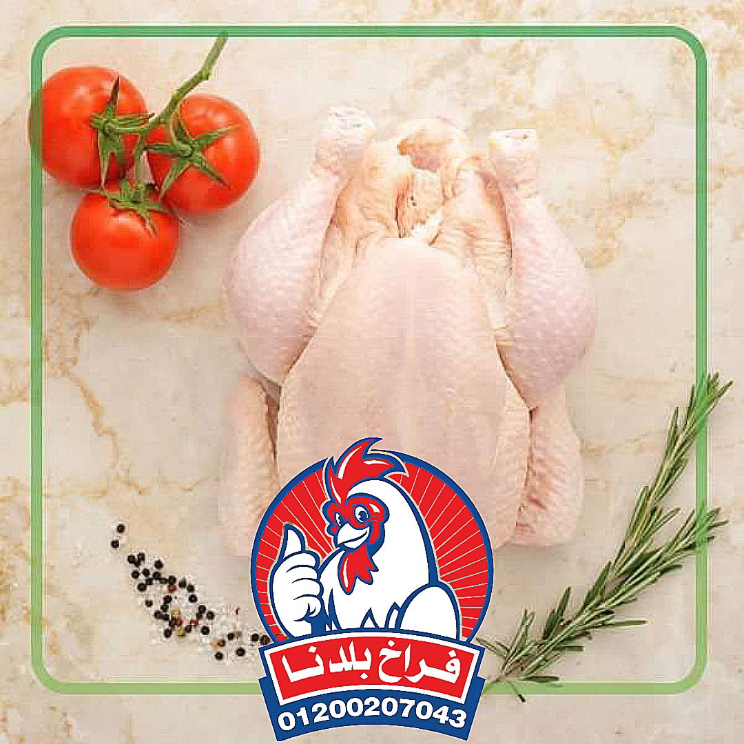 فراخ بلدنا