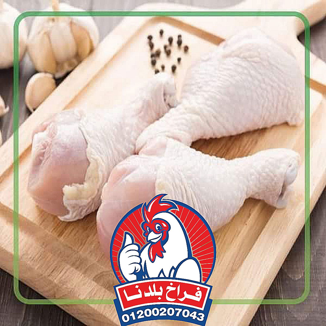 فراخ بلدنا