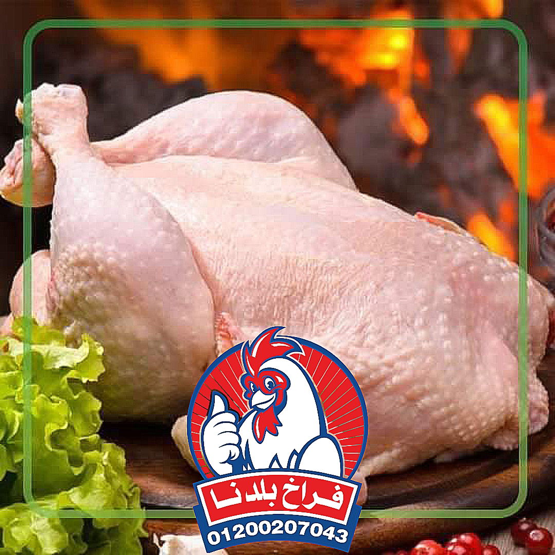 فراخ بلدنا