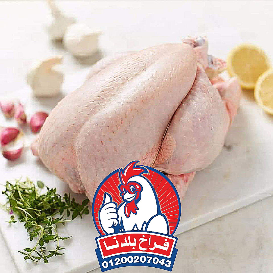 فراخ بلدنا
