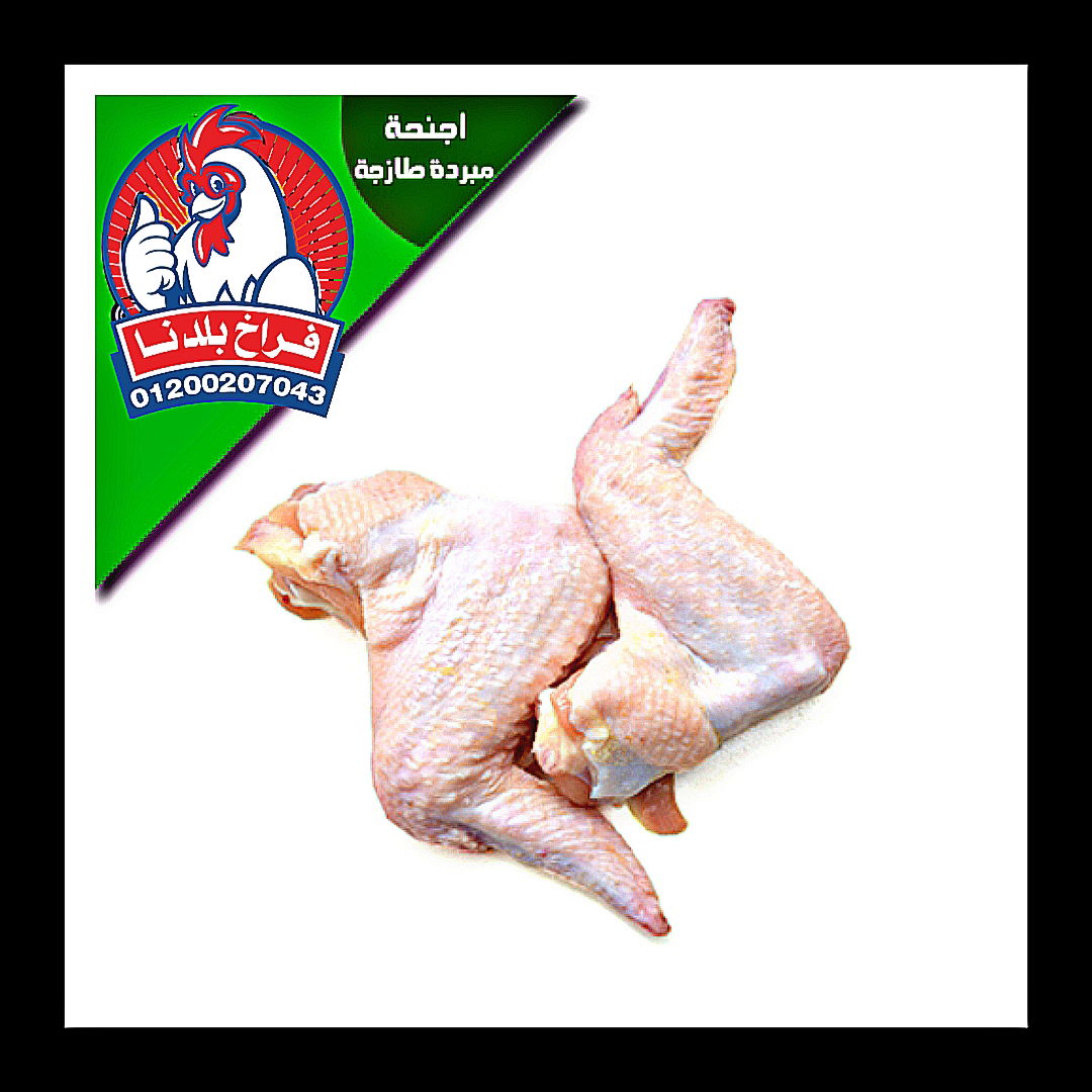 فراخ بلدنا