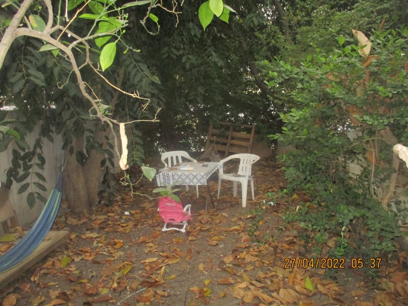 דירת אירוח - בצל האילנות