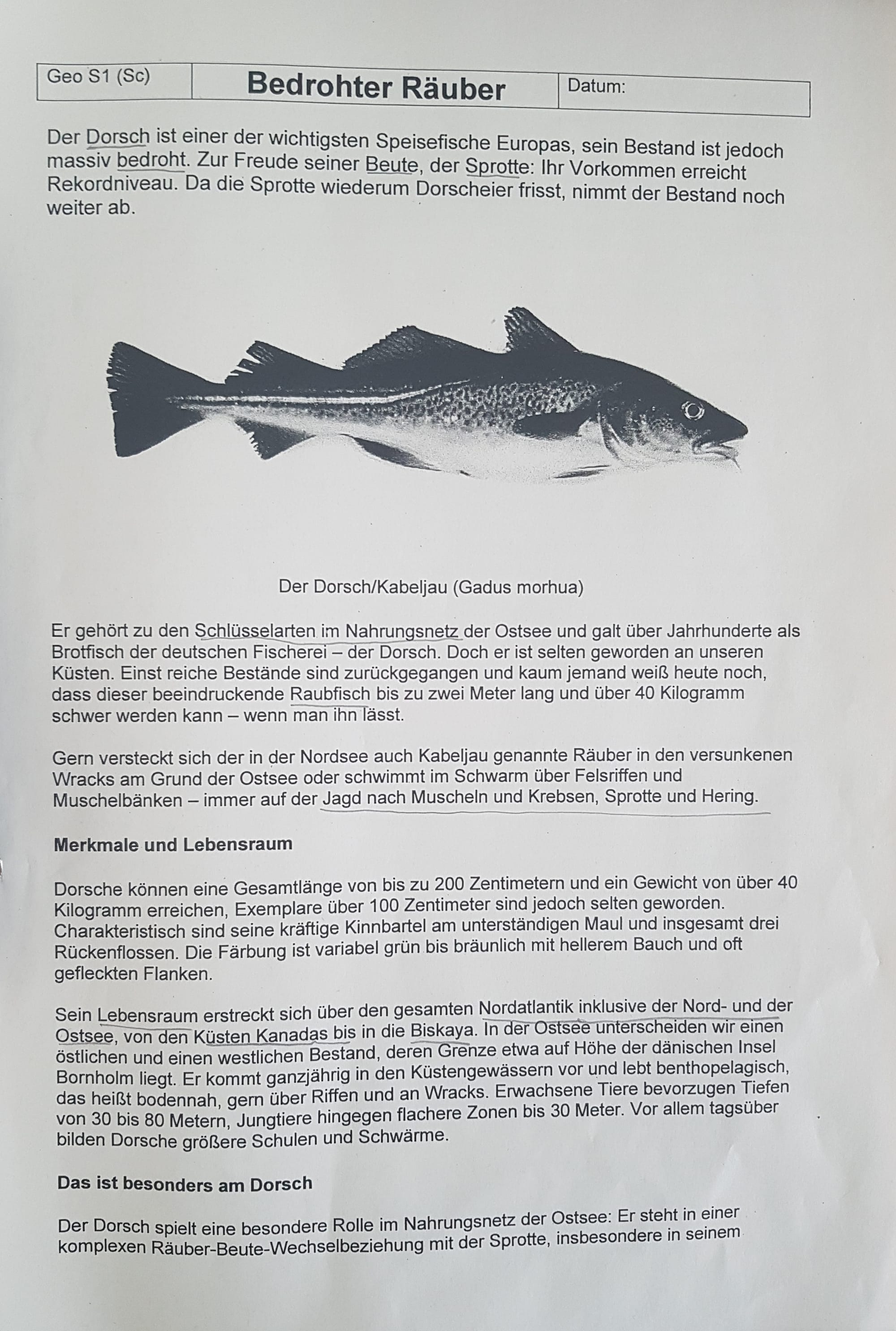 Nahrungsbeziehungen 