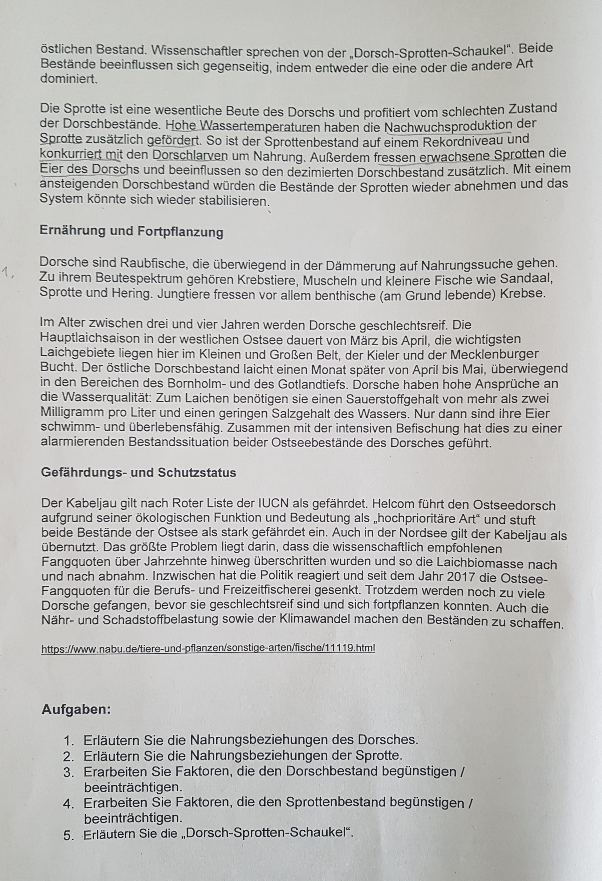 Nahrungsbeziehungen 