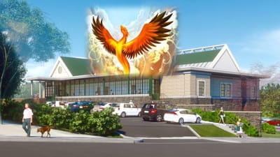 Rising Like a Phoenix