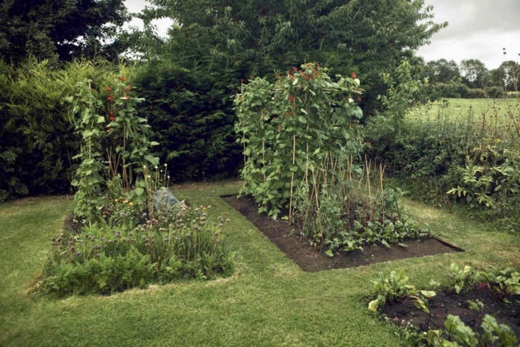 Use These Ideas To Build A Pesticide Free Organic Garden