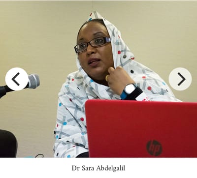 الحوكمة الشاملة الفاعلة و الانتقال الديمقراطي / د سارة إبراهيم عبدالجليل