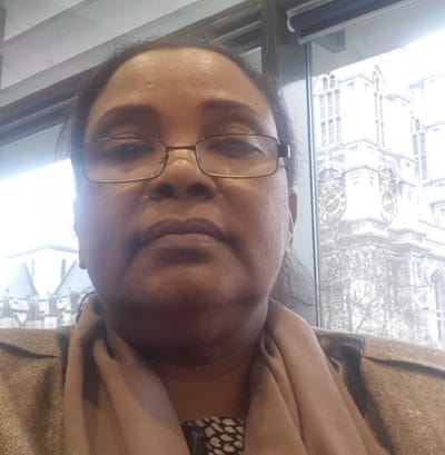 الحوكمة: أدوات كشف الفساد، وفاعلية "نفخ الصافرة