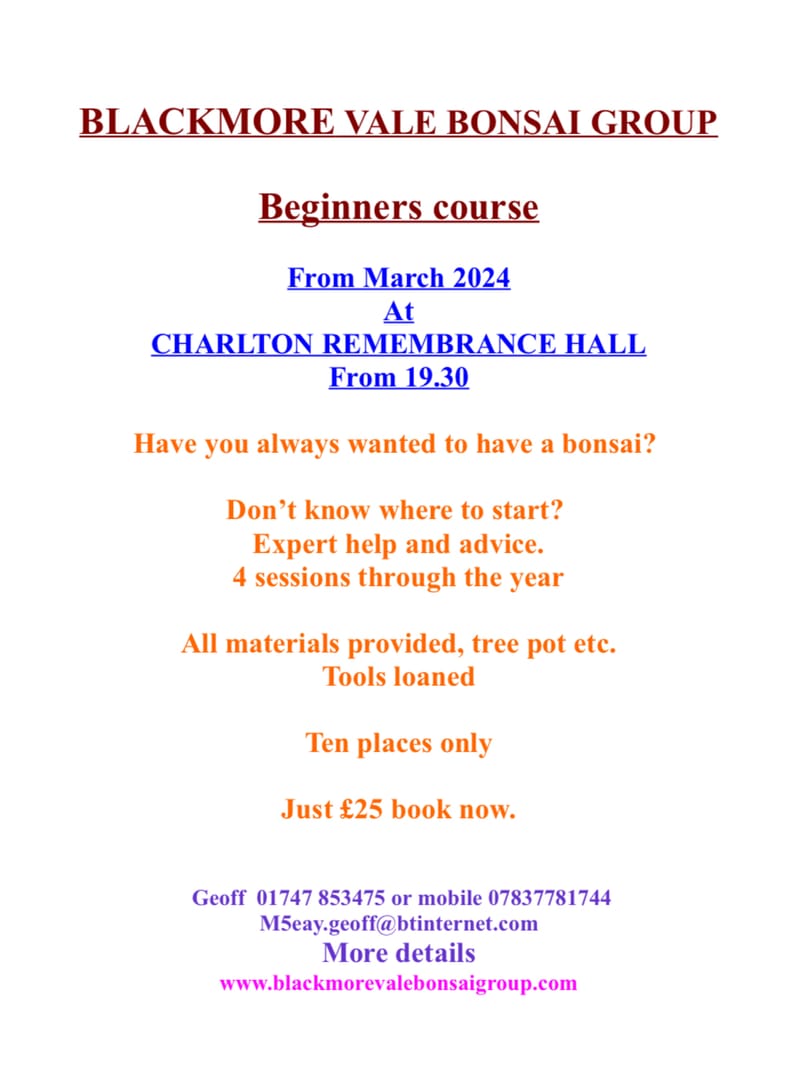 Blackmore Vale Bonsai group Beginners course