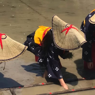 里山のお田植え祭