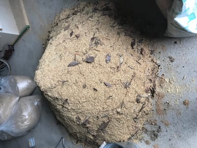 コンポストしたい人募集します！