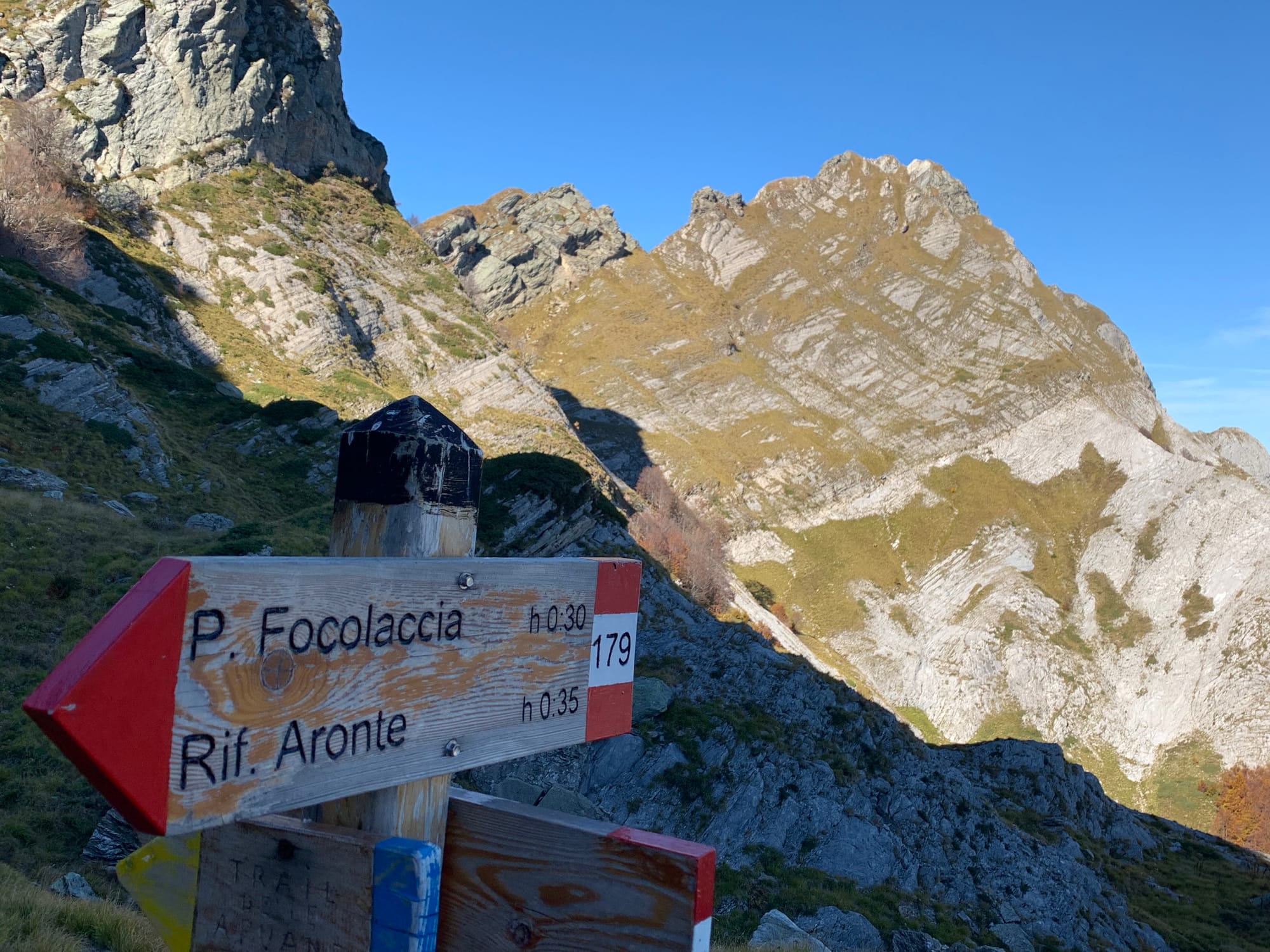 Pisanino sullo sfondo