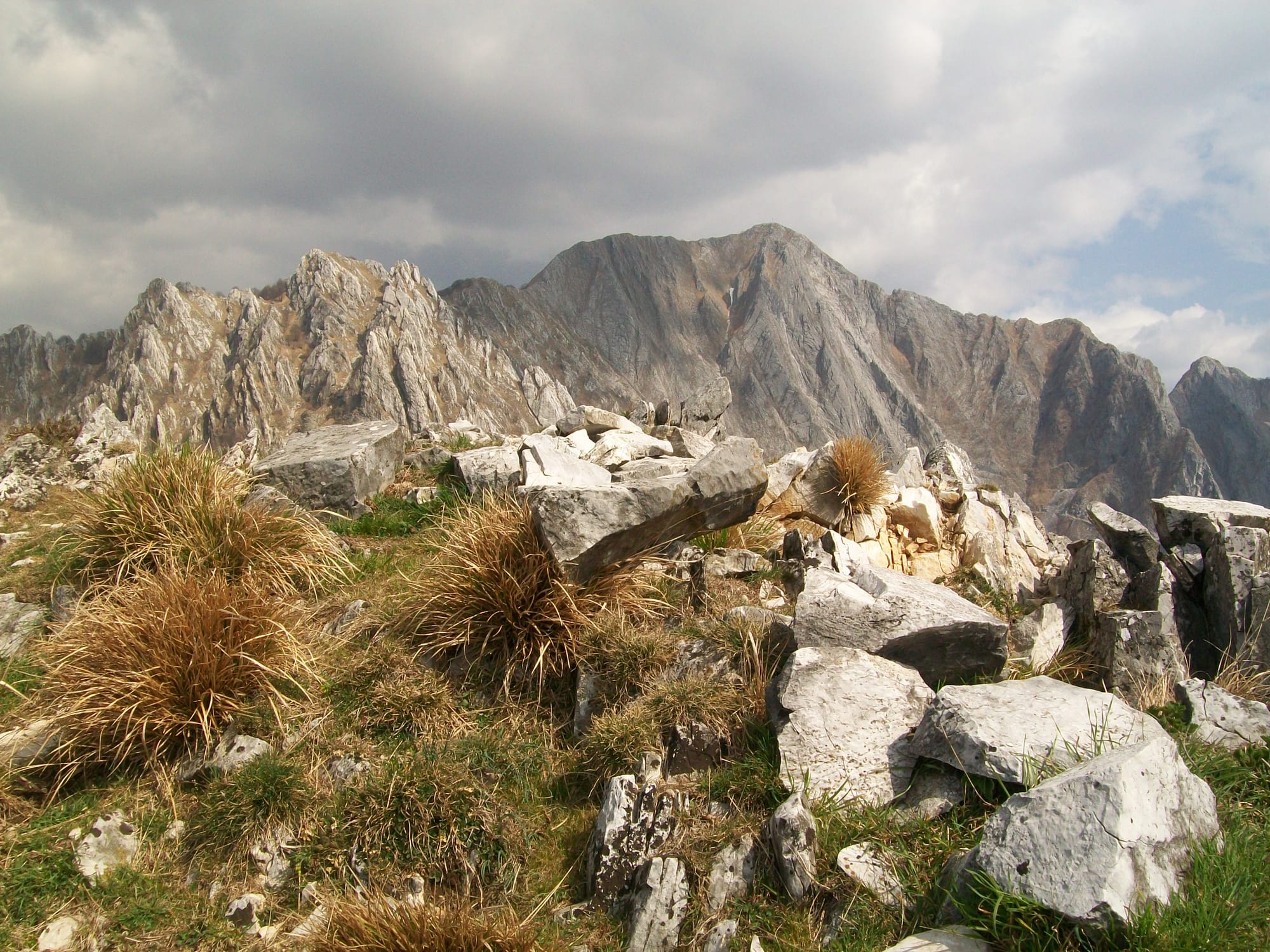 Vetta Focoraccia