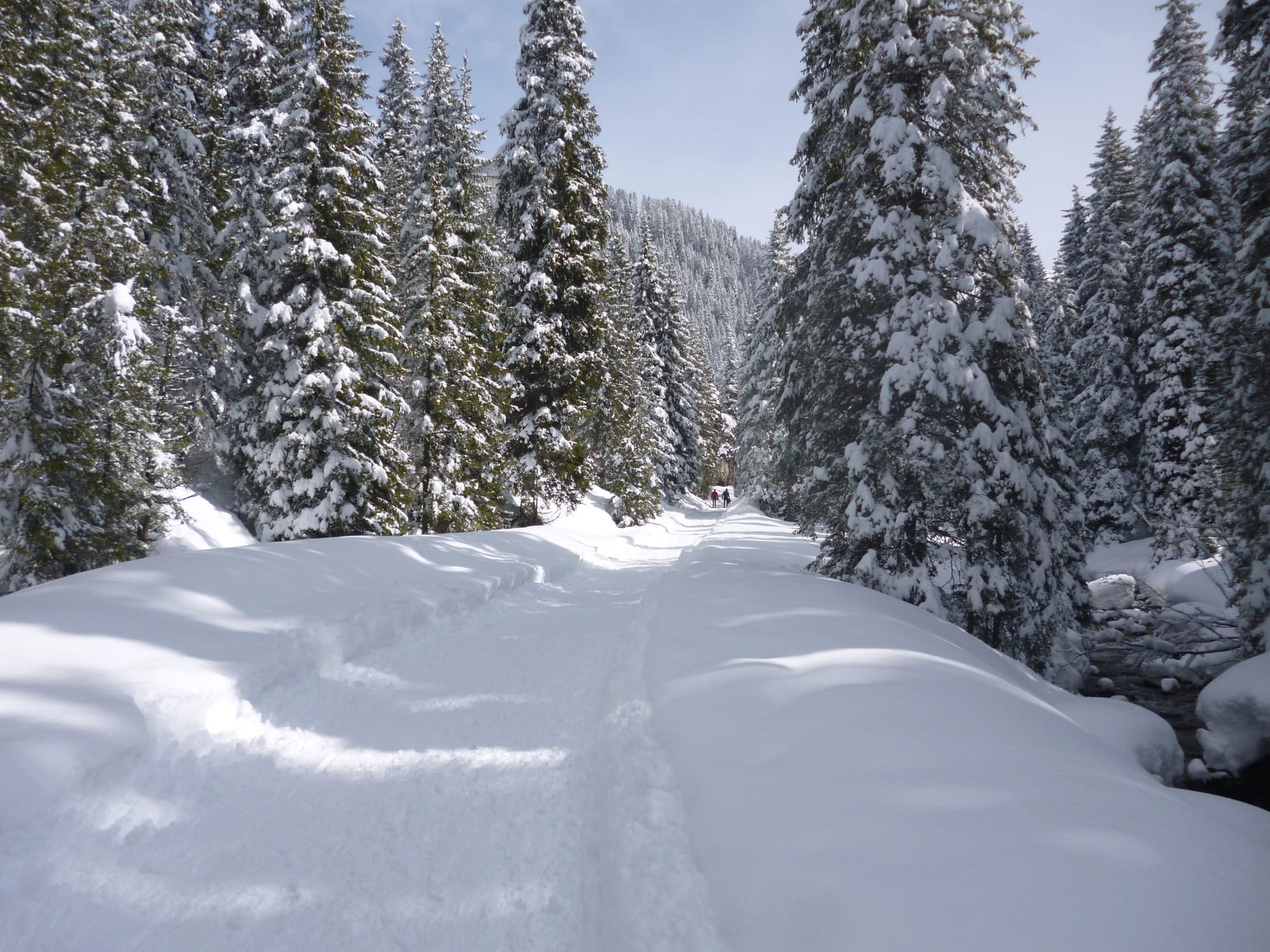 verso malga Venegia