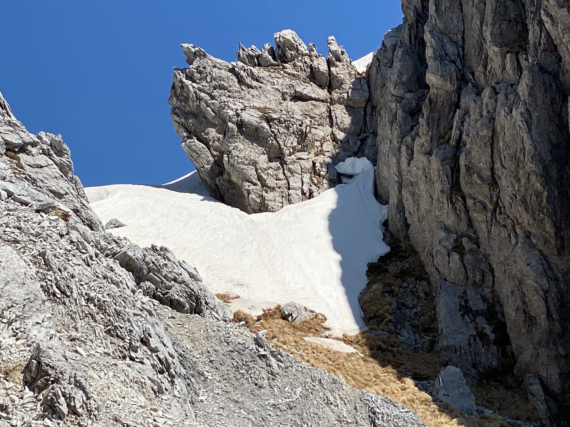 La finestra del Grondilice