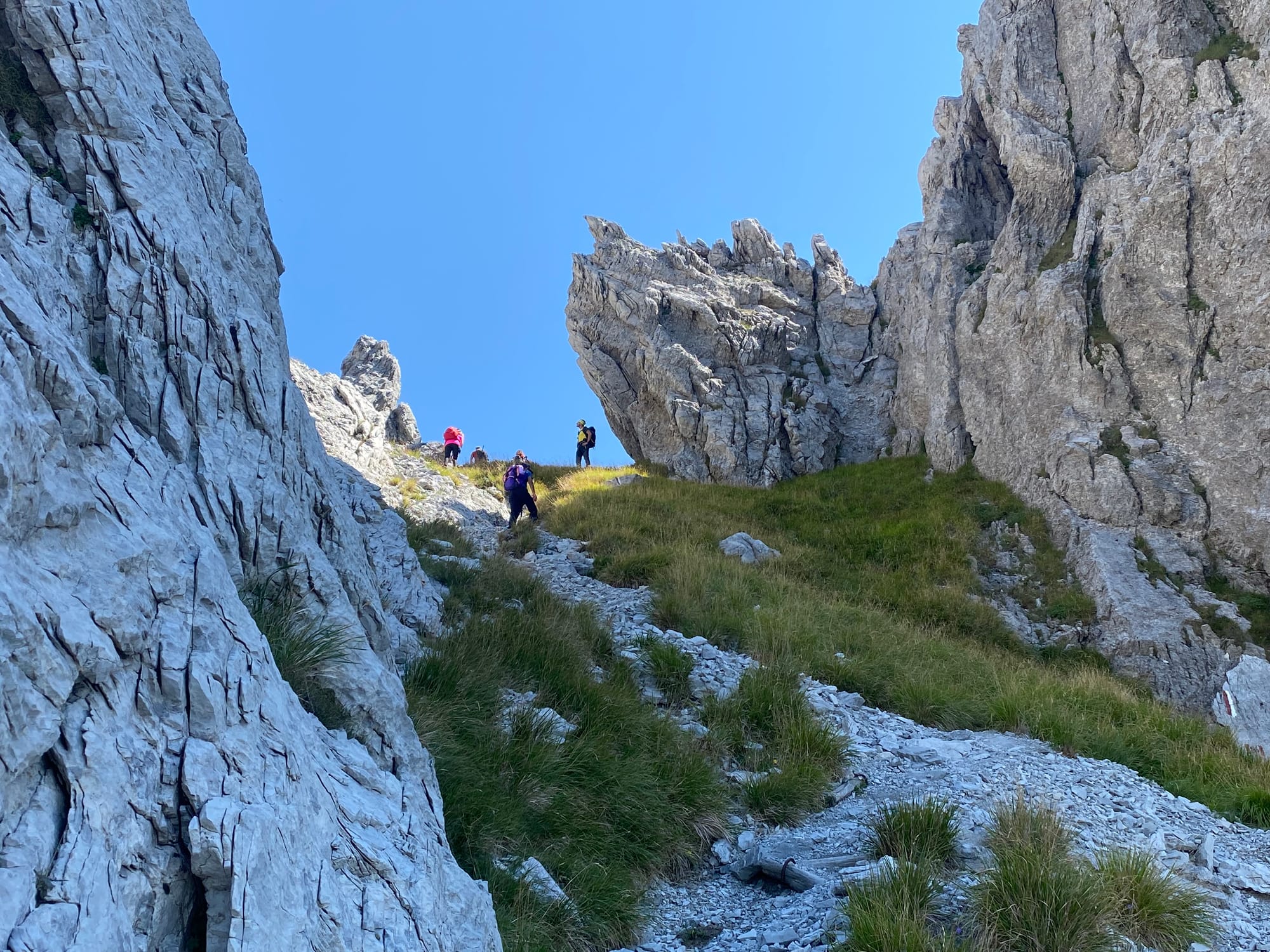 Verso la finestra del Grondilice