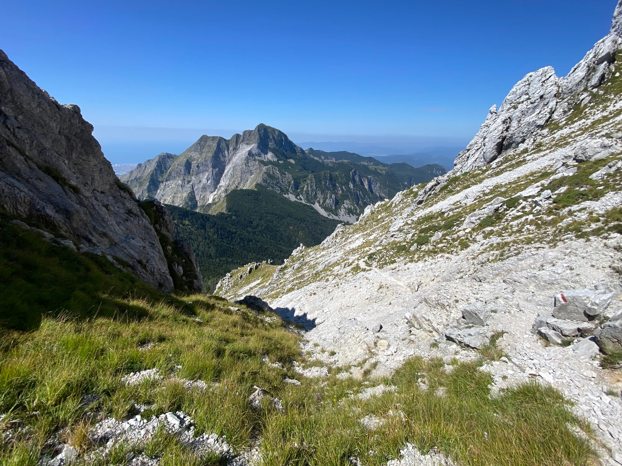 Il Sagro salendo alla finestra