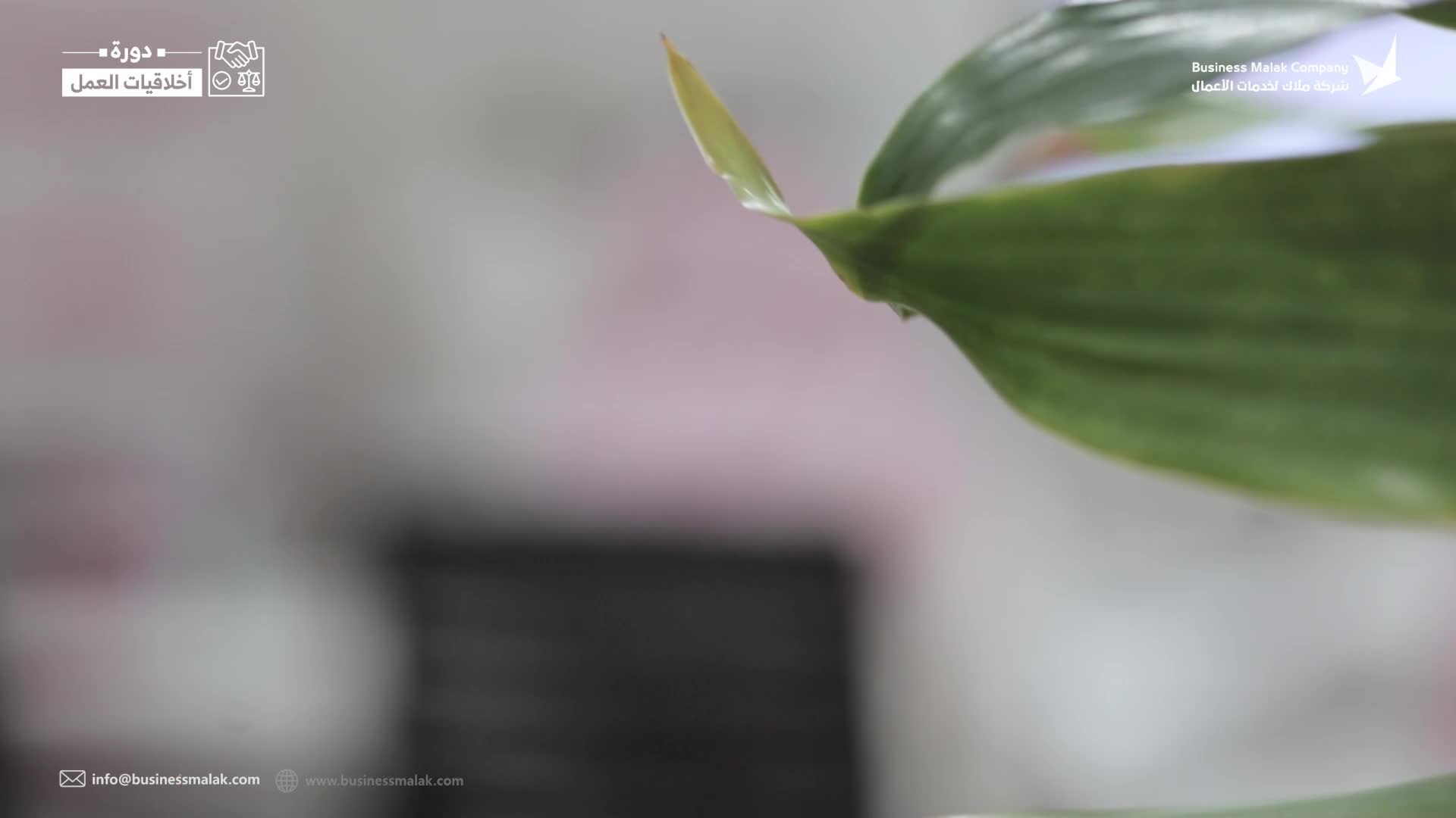 دورة أخلاقيات العمل