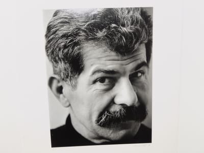 TESTI di nino crociani image