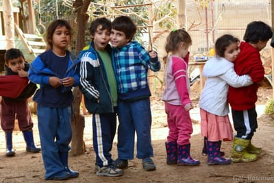 גן דאליה image