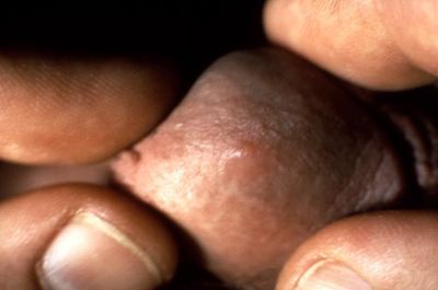 10 RULES TO BUILD A WILDLY SUCCESSFUL BUSINESS