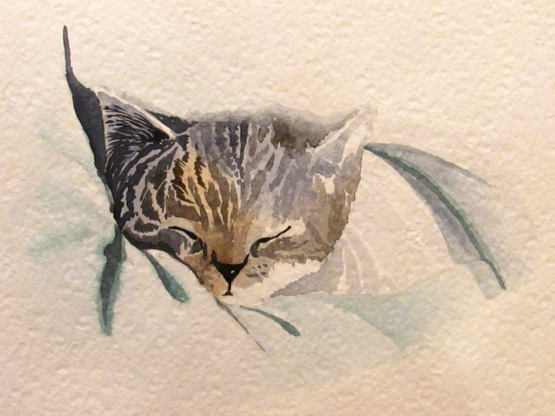 אתגר צבעי מים/ תובנות