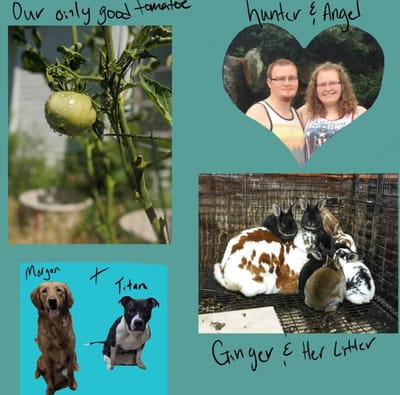 A little about us  image