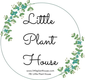 Little Plant House