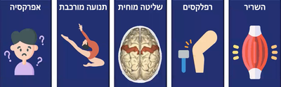 פרק 8 - תנועה והשליטה בה image