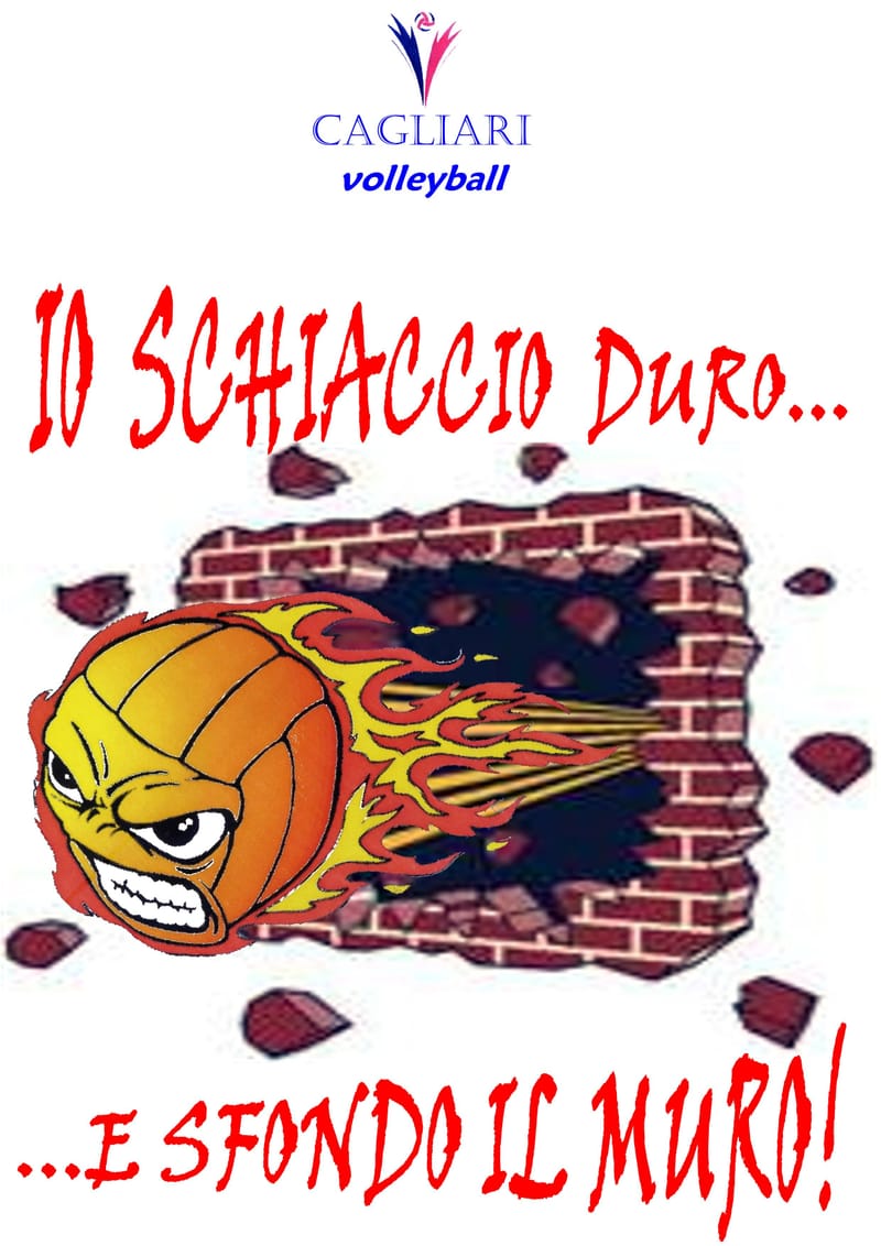 Pallavolo Agonistica: Serie D e 1° Divisione