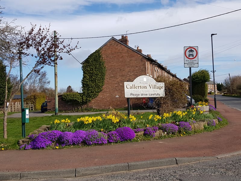 2021: Biodiversity Journey around Bank Foot, Callerton and Woolsington