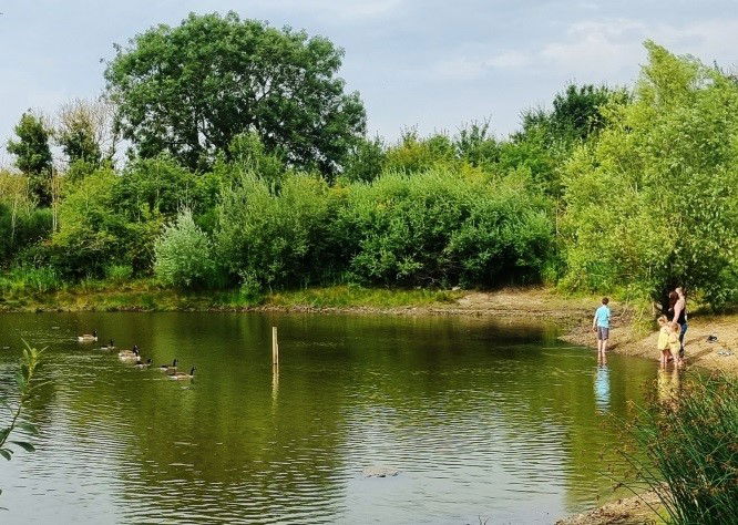 Parish Ponds Restoration: Phase I Removal of Water Soldier Vegetation