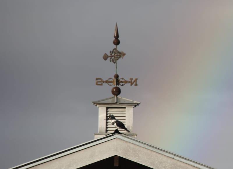 Add 'Wow' to your builder-grade home