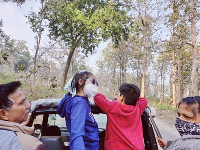 जिम कॉर्बेट नेशनल पार्क की जंगल सफारी -मेरी यात्रा