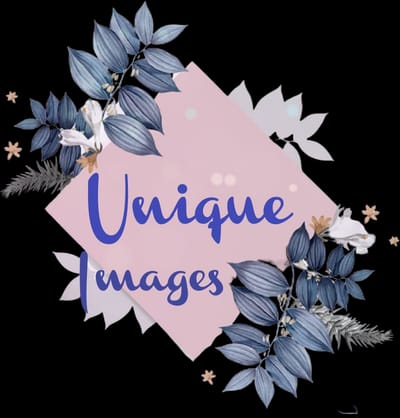 Unique Images Photograhy LLC