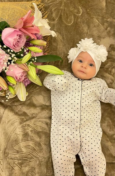 عن الموقع image