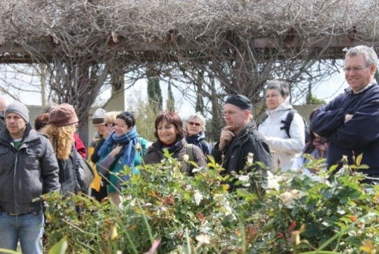 6 אתרים בגליל שמחברים קהילה, יצירה ונוף