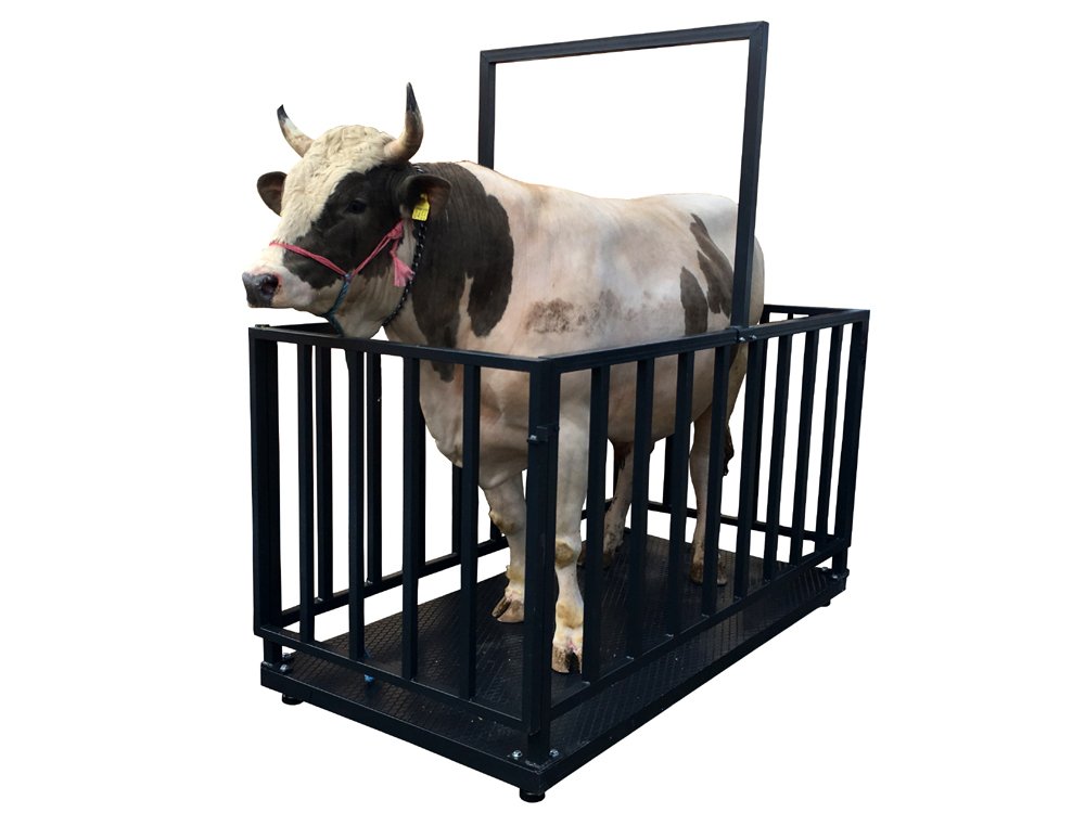 canlı hayvan baskülleri