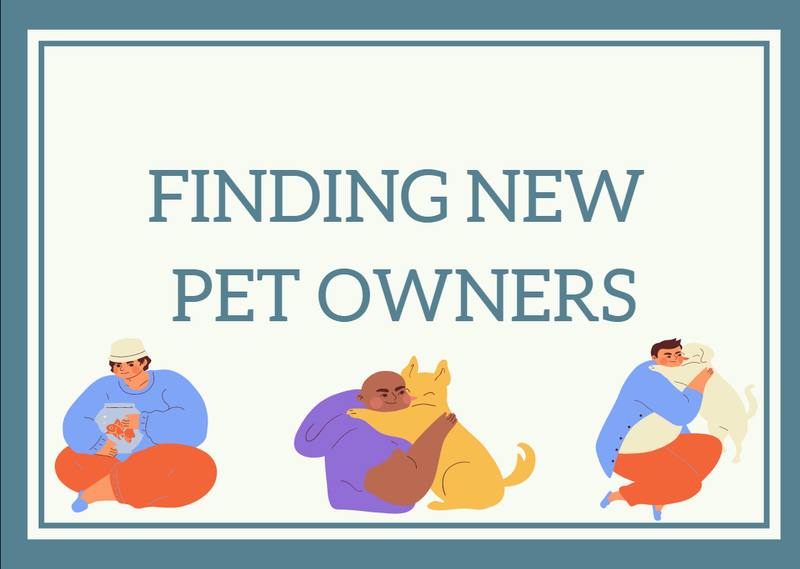 Finding New Pet Owners