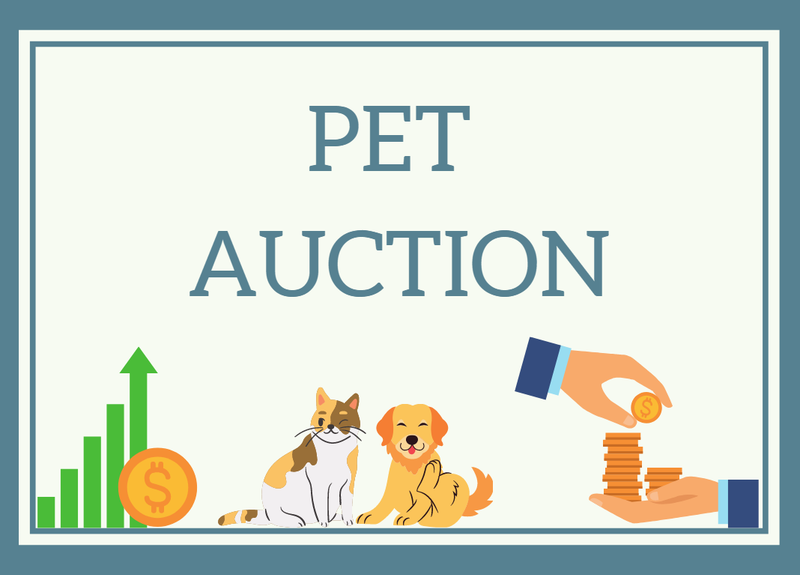 Pet Auction