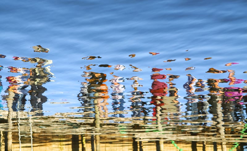 Spirituelles Thema:                            7 Seelen