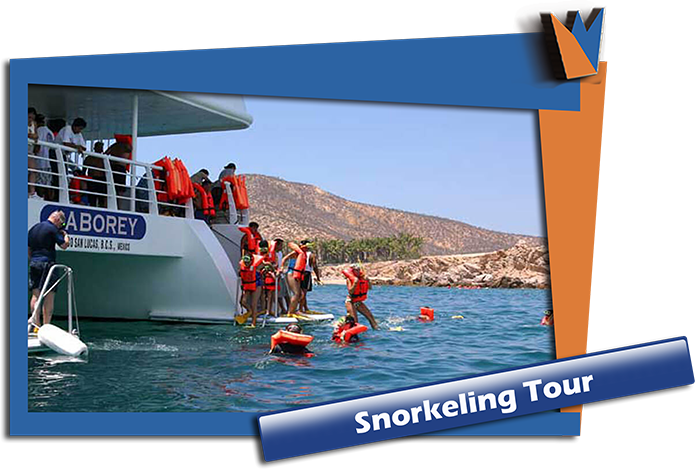 Snorkeling Rey Lunch  Cruise