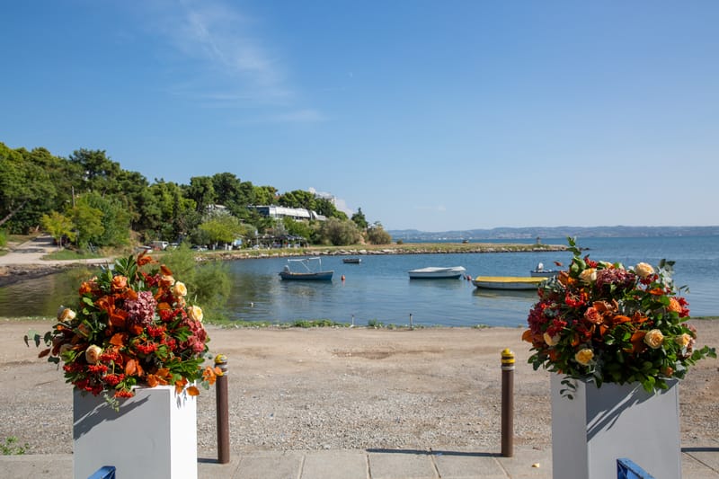 Μιχάλης & ζωή - Natural Bliss