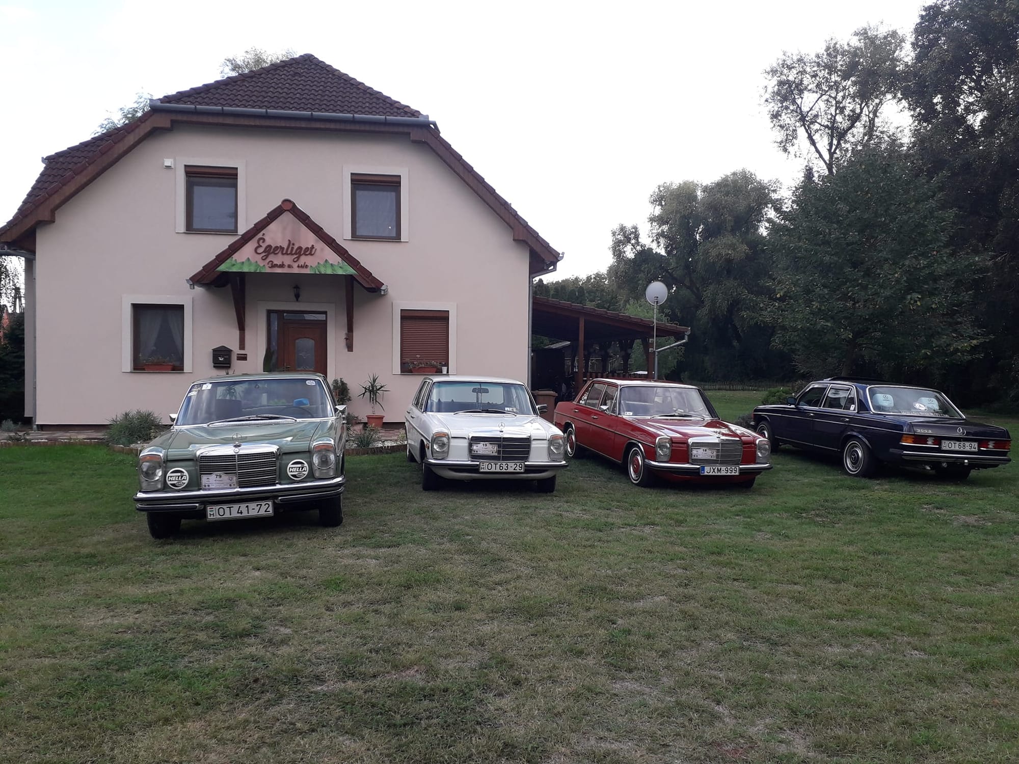 Madárcsicsergős kertecskénk